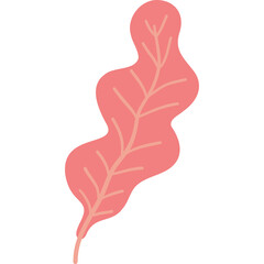 Hand Drawn Coral Pink Seaweed Illustration with Delicate Veins Isolated on Transparent Background Simple Botanical Element for Aquatic Design
