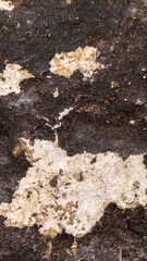 old plaster on the wall with visible details