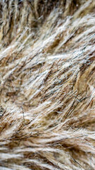 black and brown dog fur. background or texture