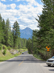 A car drives along a two-lane road through a forest in the Canadian Rockies