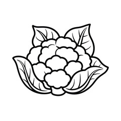 Simple line drawing of a cauliflower vegetable with leaves