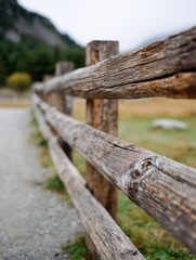 Wooden fence along a rural path in a serene countryside landscape.