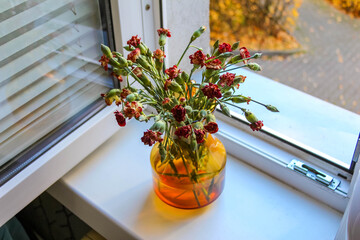 Red Pistacia lentiscus mastic berries in amber glass vase on white windowsill in Antalya, Turkey home. High quality photograph