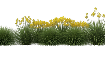 Yellow Flowers Above Green Spiky Grasses nature