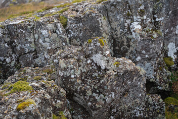 Close-up of rugged rocks covered in lichen and moss in a natural landscape.