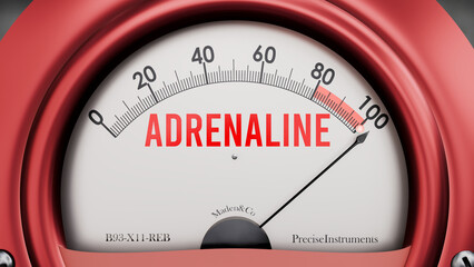 Adrenaline that is hitting a full scale, showing rising levels of adrenaline, possibly overload of it, too much of it. Maximum value, off the charts.  ,3d illustration © GoodIdeas