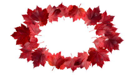 circle of red maple leaves arranged symmetrically, autumn tones, isolated on white background
