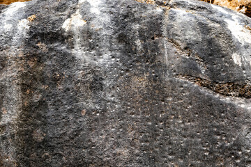 stone texture, Weathered Volcanic Rock Texture with Pitted Surface and Iron Oxide Colors