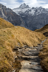 Über Stock und Stein: Wanderpfad mit Schreckhornblick im Herbst