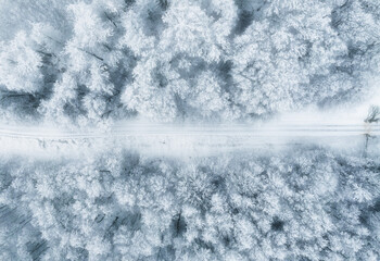 Aerial view of winter forest covered in snow. drone photography - panoramic image Beautiful frosty trees, christmas time, Happy new year.