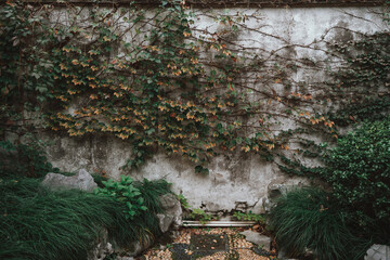 A weathered stone wall is covered in vibrant green ivy and dried leaves, nestled within a small, mossy garden with rocks and lush greenery. A small stream flows through the scene.