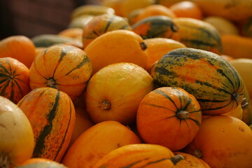 Many colorful pumpkins in the sunlight. Usual market with many pumpkins in the autumn. Halloween time