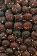 A lot of pumpkins close up. Autumn harvest colorful squashes and pumpkins in different varieties.