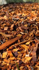 cascalho restos de madeira