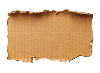 Torn cardboard sheet, light brown,  corrugated texture,  isolated