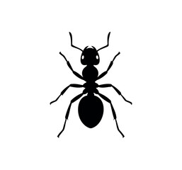 Ant vector flat illustration design. Black silhouette of an ant on white background.