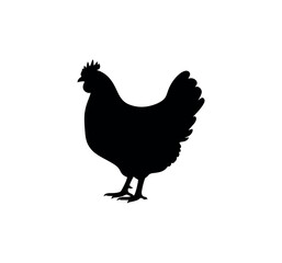 Farm chicken symbol for agriculture, food, and animal design. Chicken sign vector illustration design. Chicken silhouette on white background.