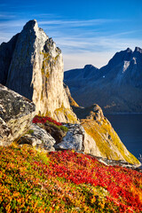 Autumn Senja Island, Hesten, Segla, Fjordgard