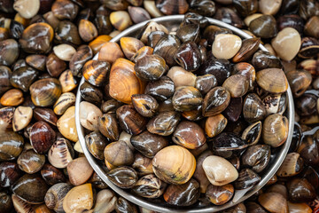 Pile of fresh clams on a fish market, seafood produce. Stacked fresh raw clams background