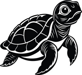 turtle-hatchling-on-white-background.eps