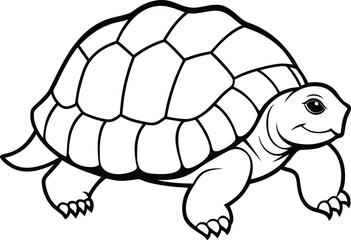 tortoise-on-white-background.eps