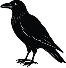 crow-on-white-background.eps