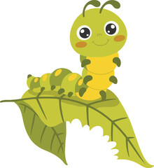 green caterpillar on a leaf