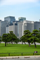 green park and skyscrapers in Tokyo, Japan