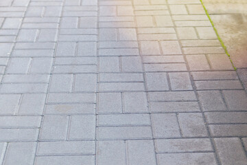 Paving slab. Grey background. Pedestrian zone in park in sunny daylight.
