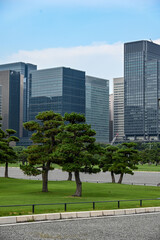 green park and skyscrapers in Tokyo, Japan