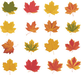 autumn leaves seamless pattern