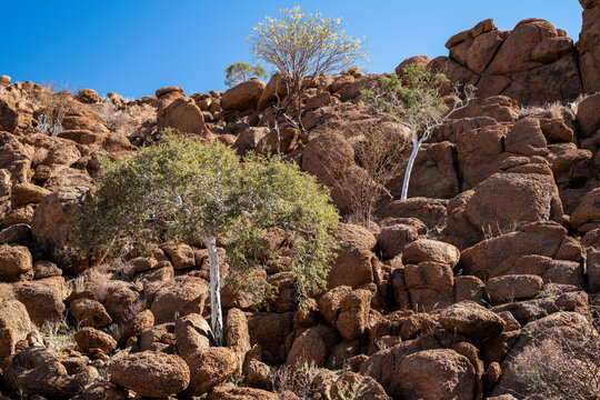 Eindr&uuml;cke im Damaraland