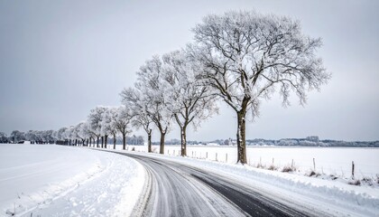 Snow Covered Trees Line A Winding Road Through A Winter Landscape With A Few Buildings In The Distant Background Under A Cloudy Sky