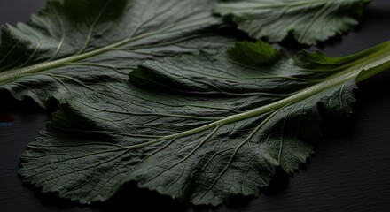 Dramatic Close Up Of Mustard Greens On A Dark Surface with Natural Texture