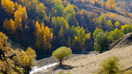 Autumn landscape