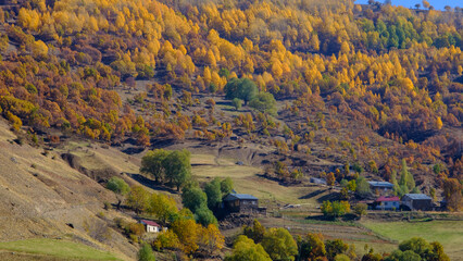 Autumn landscape of a mountain village