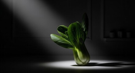 Dramatic Vegetable Composition: Bok Choy Illuminated Against a Dark, Moody Background
