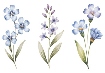 Lavender meadow blossoms with soft watercolor.