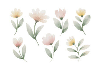 Watercolor tulip blossoms in soft pink and yellow tones. Tulip flowers with subtle gradient petals and leaves.