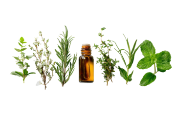 Assortment of fresh herbs and a small amber bottle