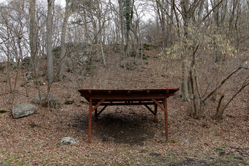 Wooden shelter nestled in a forest setting during the fall season, inviting a sense of calm.