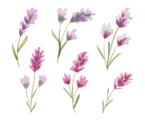 Minimal watercolor floral sprigs with romantic spring blossoms. watercolor wildflower pastel pink and violet tones.