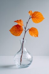Autumn leaves in glass vase