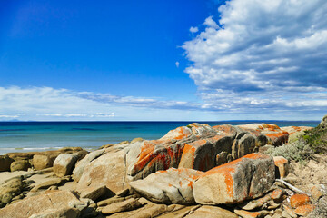Granite rocks covered with red lichen and a calm, azure blue sea at the coast  of Waterhouse Conservation Area, northeast Tasmania, Australia
