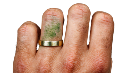 PNG of Close-up of a male hand with a gold wedding band, featuring green stains on the finger, suggesting an outdoor activity.