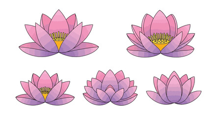 Stylized illustrations of pink and purple lotus flowers in bloom