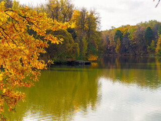 A picturesque landscape of a pond in a city park in autumn. Colorful branches with multicolored leaves.
