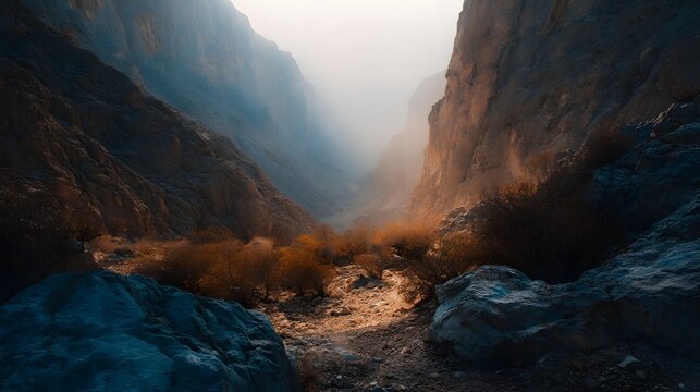 A vast atmospheric canyon bathed in the warm light of the golden hour with rugged cliffs and sparse desert vegetation - Powered by Adobe