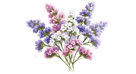 Obraz premium Watercolor illustration of statice flowers isolated on transparent background