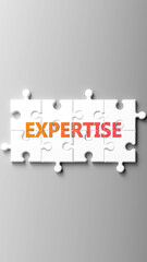 Expertise complex like a puzzle - pictured as word expertise on a puzzle pieces to show that expertise is complex and needs cooperating pieces that fit together. ,3d illustration